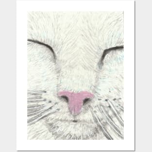 white cat face Posters and Art